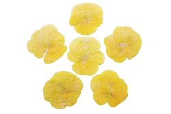 Засахаренный Обезвоженный съедобный цветок "Солнечный рай" 6 шт