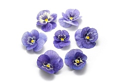 Виола обезвоженная "Ночная ледяная сказка" объемная 15 шт